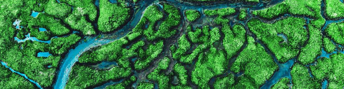 Landscape from bird's eye view with river courses and forests.