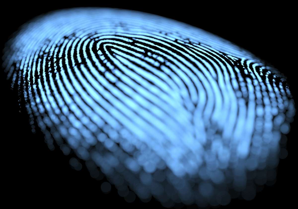 Blue makro fingerprint on blue background.
