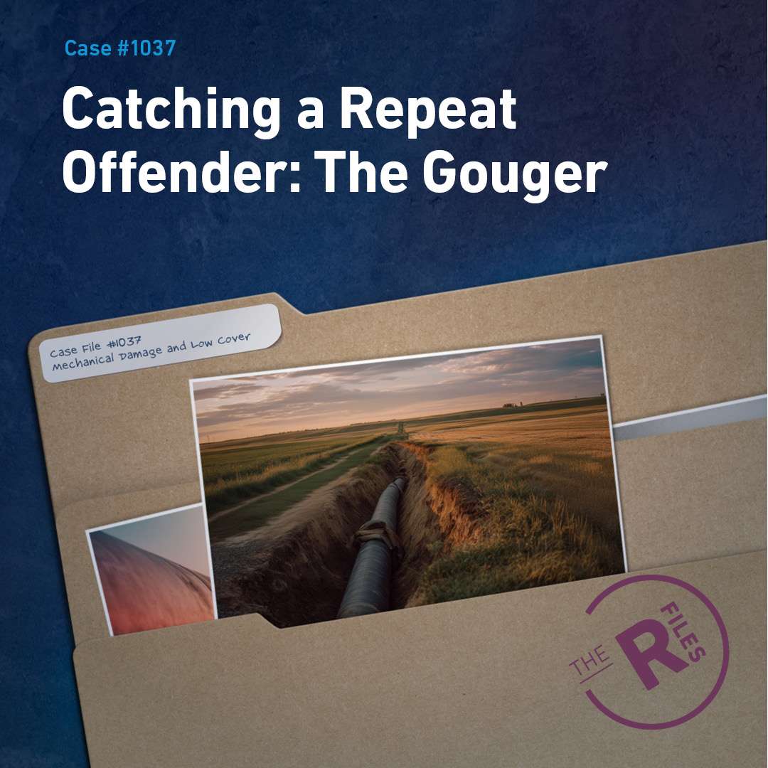 Unveiling of the R-file "Catch a repeat offender: The gouger."