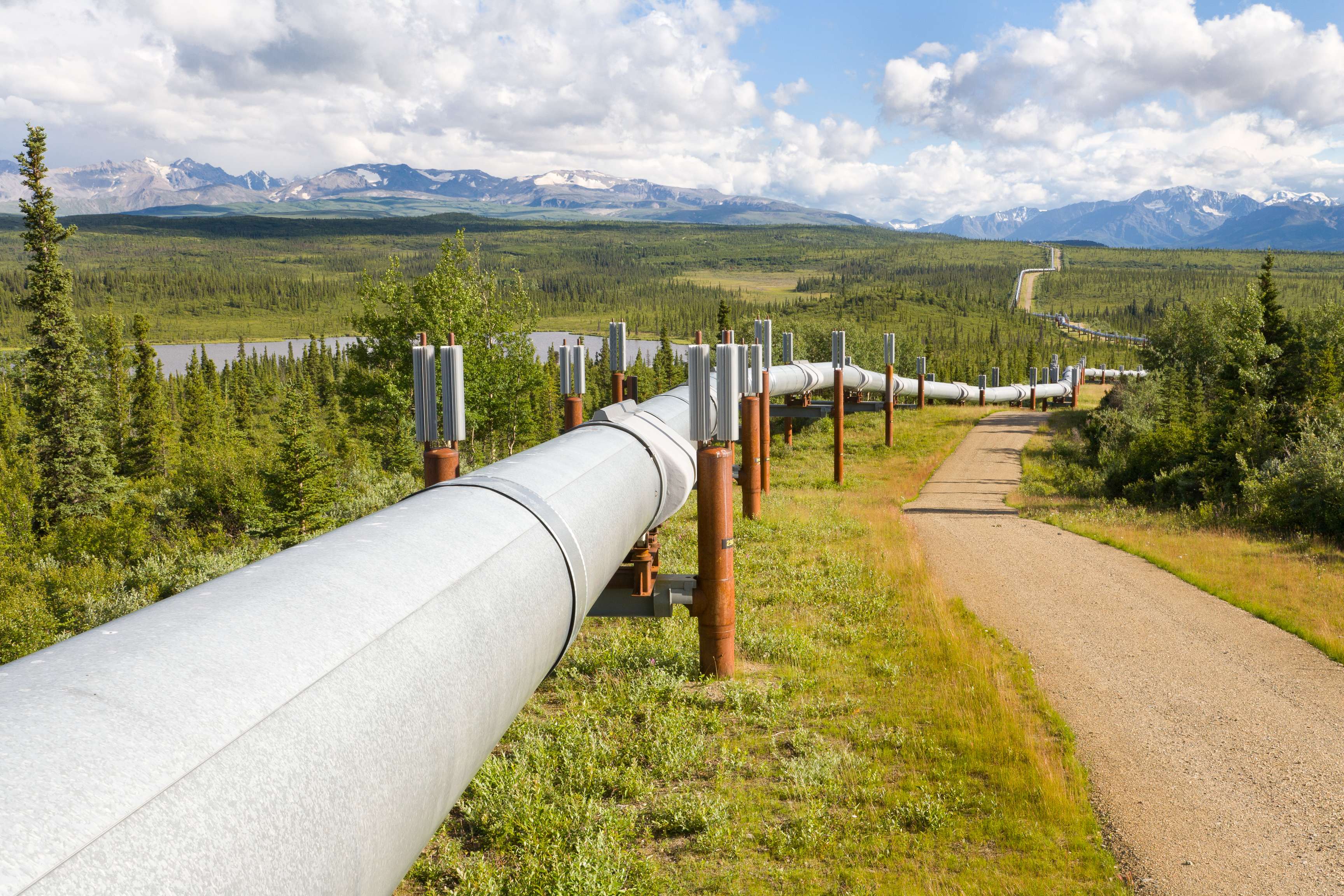 Pipeline running through green landscape with trees, mountains in background.