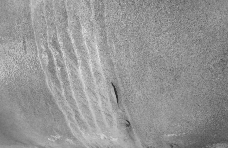 Pciture of a circumferential crack in a pipeline.