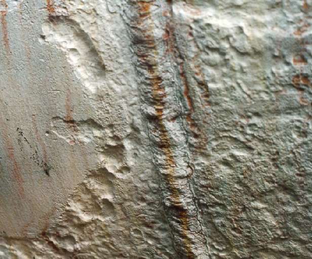 Picture of an corrosion at field joint anomaly.