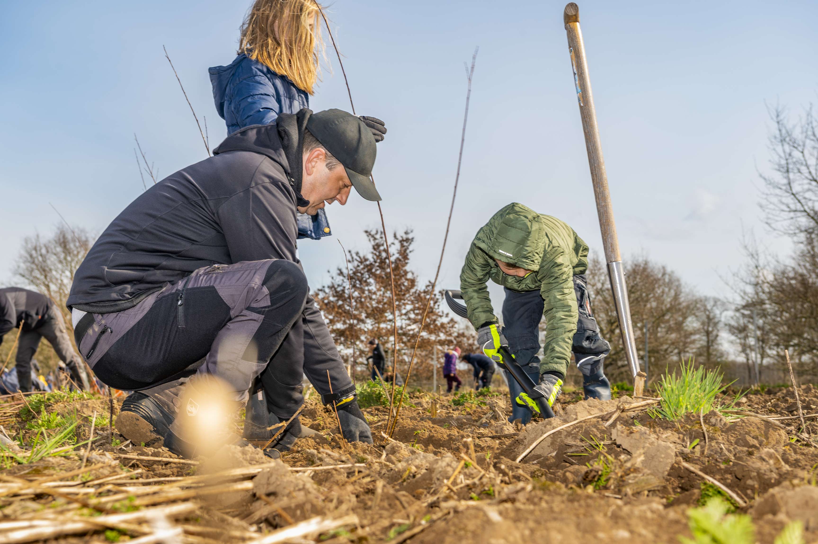 Tree planting by ROSEN Group in Lingen