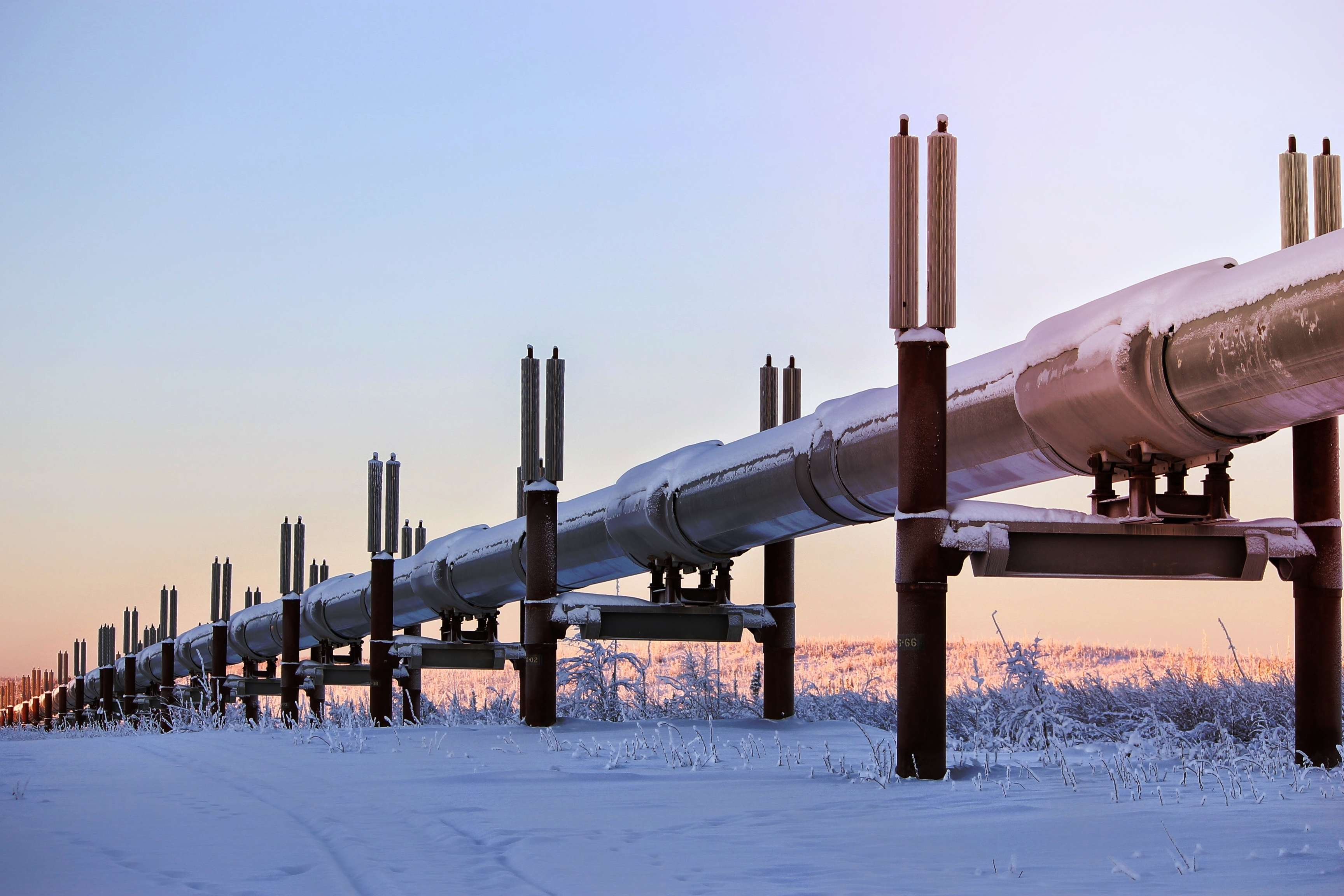 Close up of pipeline running above ground through snow covered landscape.