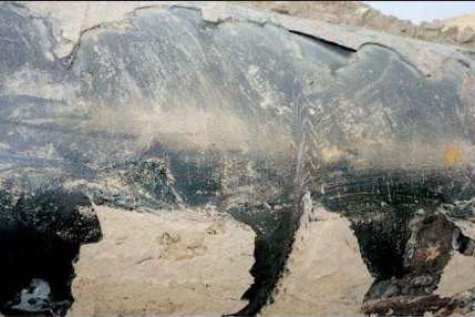 Picture of a coating failure on a pipeline.