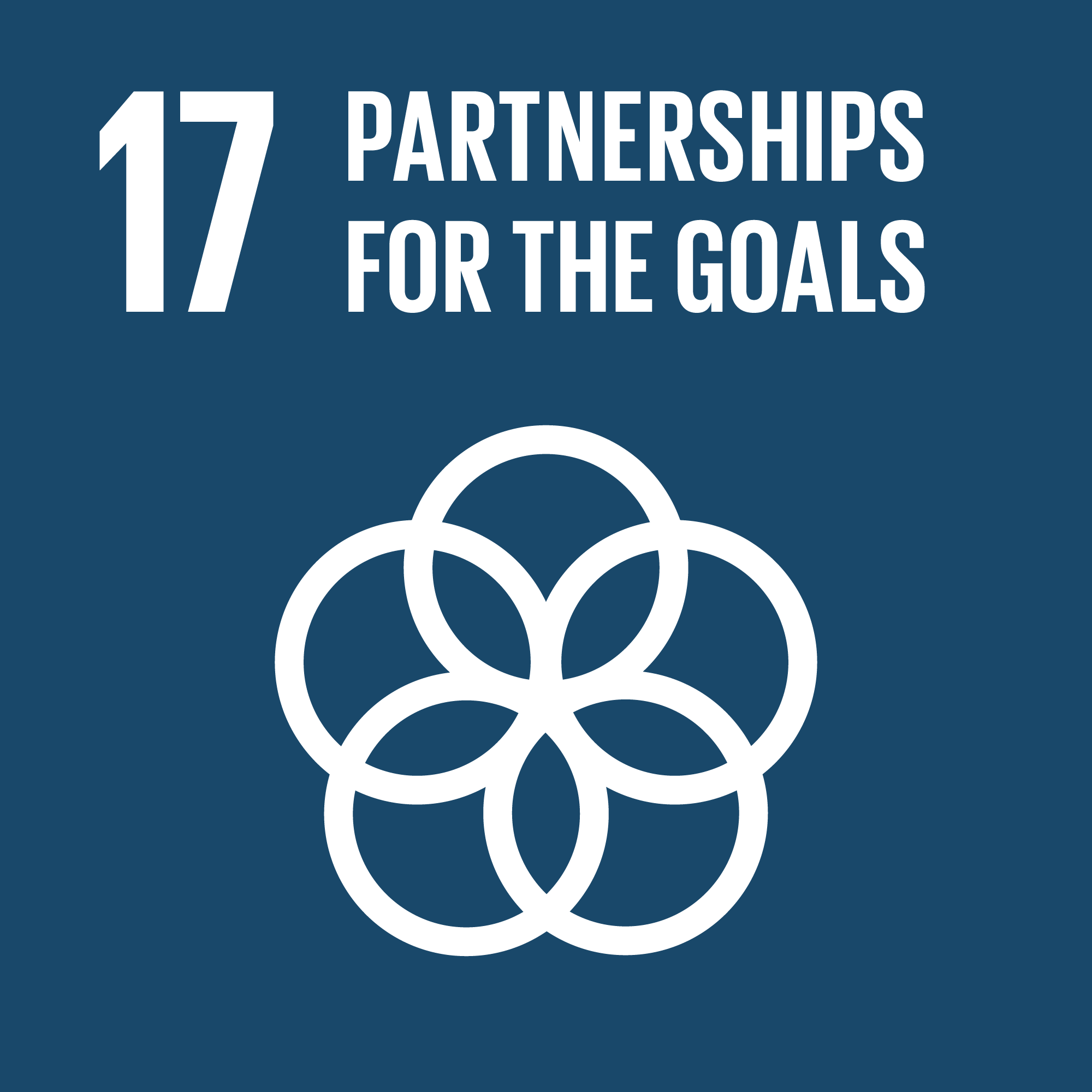 Icon of UN Social Development Goal (SDG) - Partnerships for the Goals