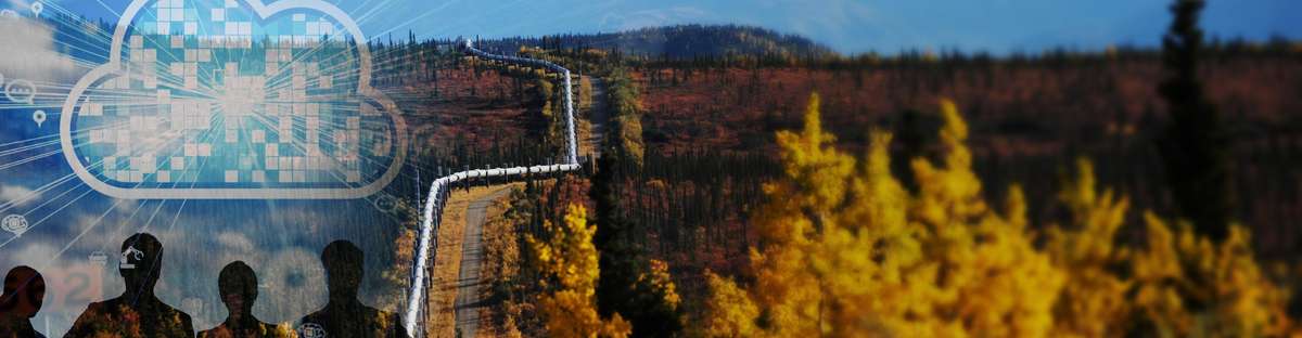 Pipeline leads next to a road through a forest, mountains in the background.