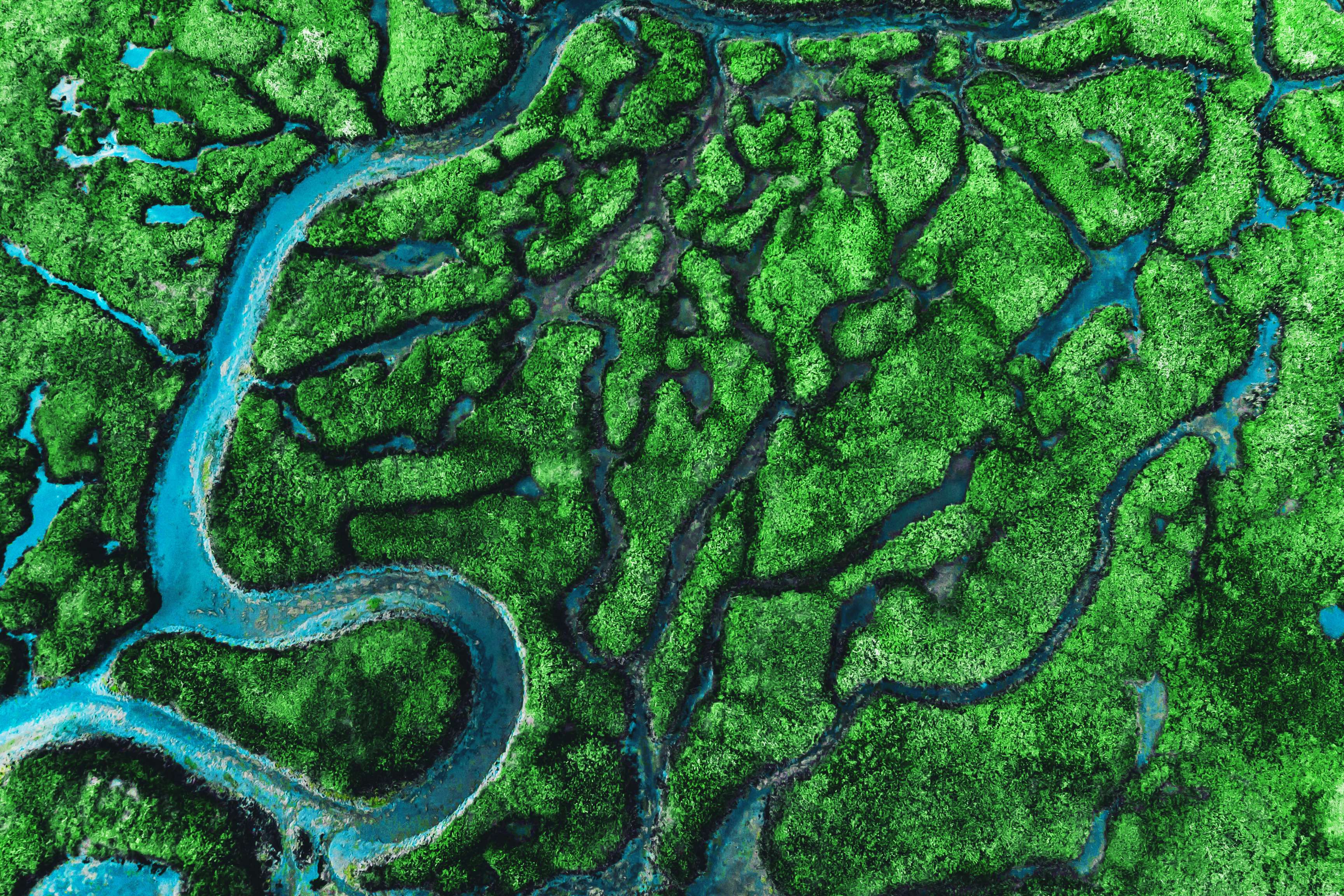 Landscape from bird's eye view with river courses and forests.