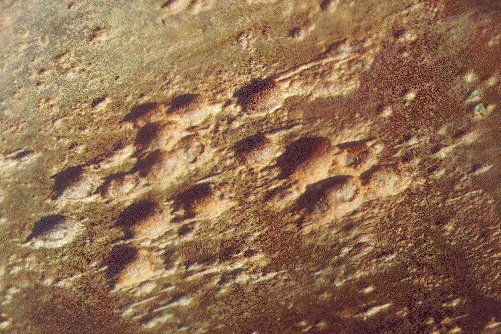 Picture of pitting corrosion anomaly